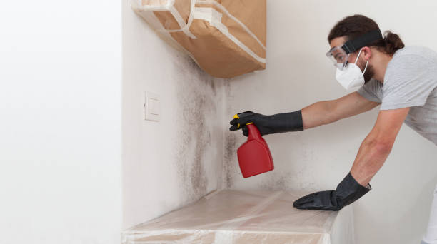 Professional Black Mold Remediation technician working in Coalport, PA