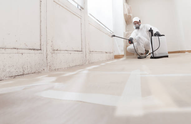 24/7 Emergency Black Mold Remediation experts in Coalport, PA